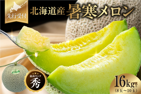 北海道産 暑寒メロン 8～10玉 (8kg以上×2箱) 2026年7月発送 青肉 果物 フルーツの王様 春 夏 秋 冬 御中元  フルーツ 生ハム パフェ ケーキ デザート ピューレ めろん さっぱりした甘み お取り寄せ 北海道 雨竜町