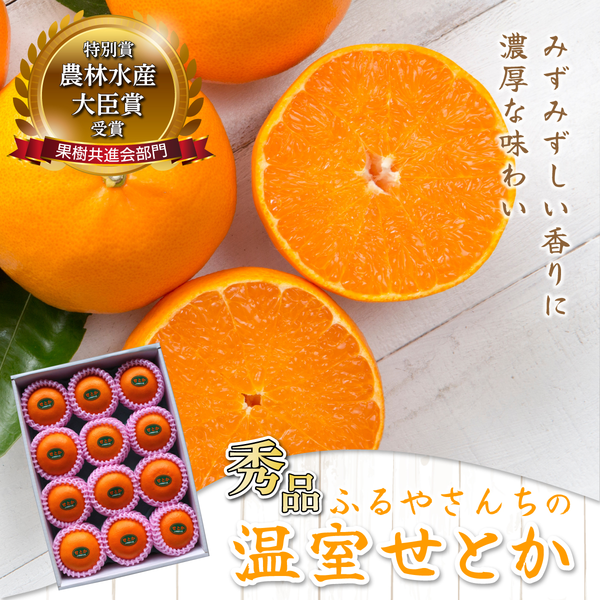 AD-AB2≪期間限定・先行予約≫　数量限定！農林水産大臣賞受賞農園！ふるやさんちの温室せとか＜秀品＞(約3kg・8〜12玉入)化粧箱入【ふるやさんちのみかん園】