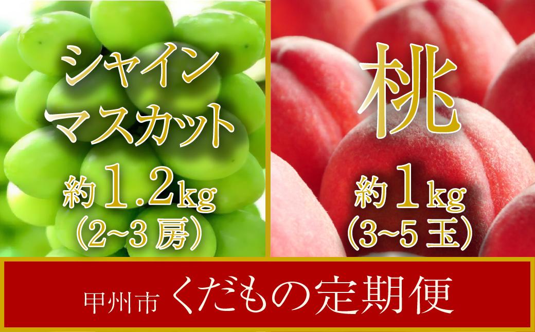 
【甲州市くだもの定期便】(全2回)桃･シャインマスカット【2024年発送】（SHP）C-475
