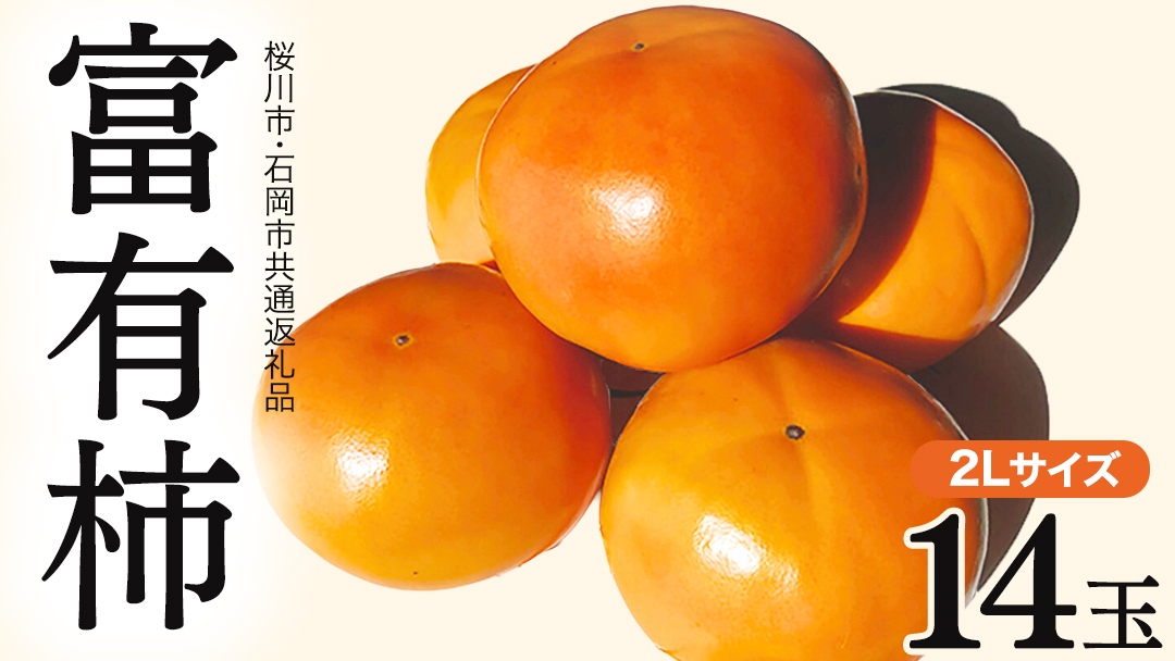 富有柿 2L 14玉 (桜川市・石岡市共通返礼品) 果物 くだもの フルーツ 柿 かき 2026年11月中旬以降発送 [DC003sa]