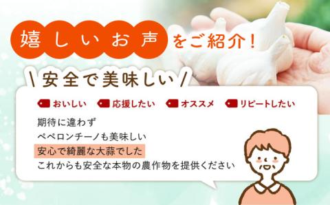 栽培期間中農薬不使用！ ニンニク 1kg【浅田峠自然塾】 [EA08]
