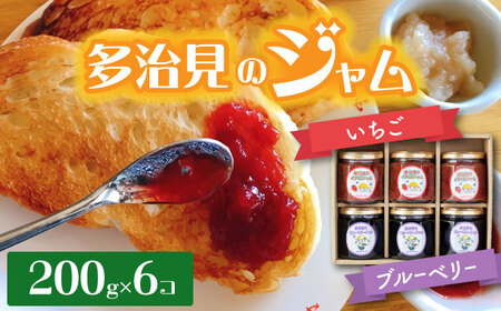 多治見のジャム いちご・ブルーベリー 200g×6個  多治見市/廿原ええのお ジャム パン ヨーグルト いちご 瓶 ビン 苺 ブルーベリー ベリー フルーツ 旬 つづはら プレゼント ギフト 贈答 贈り物 手土産 送料無料 [TCI003]