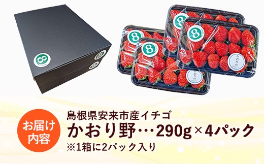 【先行予約】 かおり野 4パック 【 選べる品種 約290g×4パック かおりの イチゴ いちご 苺 ストロベリー 冷蔵 安来市産】【16-FA-11】