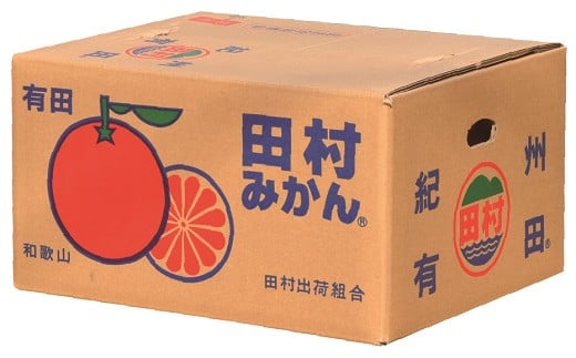 【予約受付】田村みかん 秀品 4kg サイズおまかせ/紀州和歌山有田郡湯浅町田村地区産 ◆2026年11月下旬～2027年1月中旬頃に順次発送予定(お届け日指定不可)　紀伊国屋文左衛門本舗【sgtb3