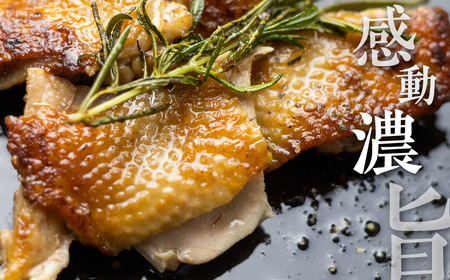 福袋 飛騨地鶏三昧 地鶏 モモ肉 手羽先 手羽元 ささみ 串焼き 鶏ちゃん 合計2kg超 鶏肉 飛騨[B0256re]