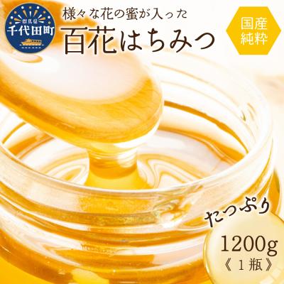 ふるさと納税 千代田町 【2026年8月発送】 はちみつ 【千代田町の蜂蜜】1200g 百花蜂蜜 ch011-004-08