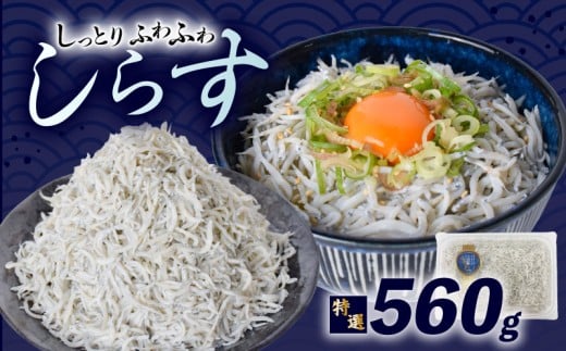 【特選】釜揚げしらす 約560g ( 約70g × 8パック )