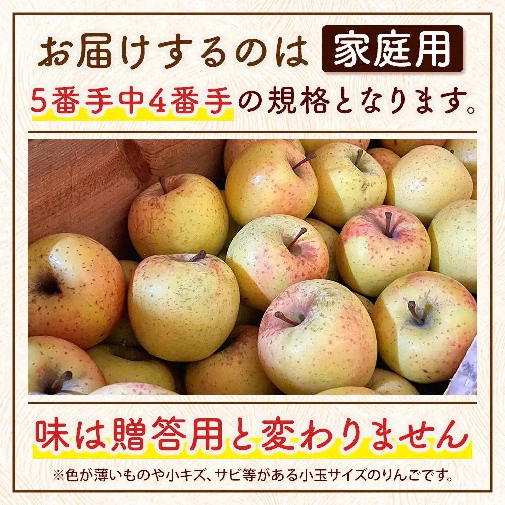 りんご サンふじ＆黄色りんご 家庭用 約5kg 小玉 11月発送