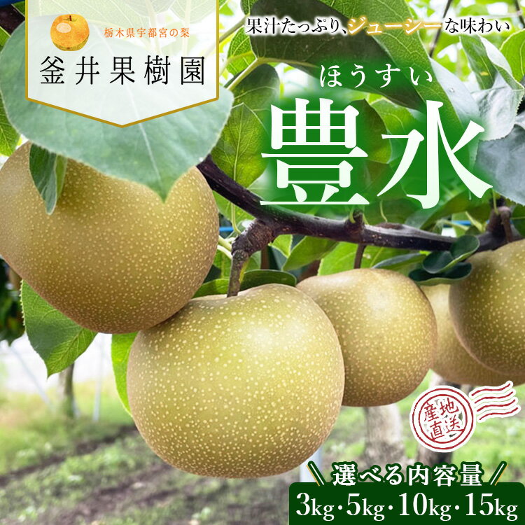 【ふるさと納税】【選べる内容量】豊水 ｜ 栃木県産 宇都宮市 梨 なし 豊水 フルーツ 果物 旬 産地直送 ※離島への配送不可 ※2025年9月上旬頃より順次発送予定