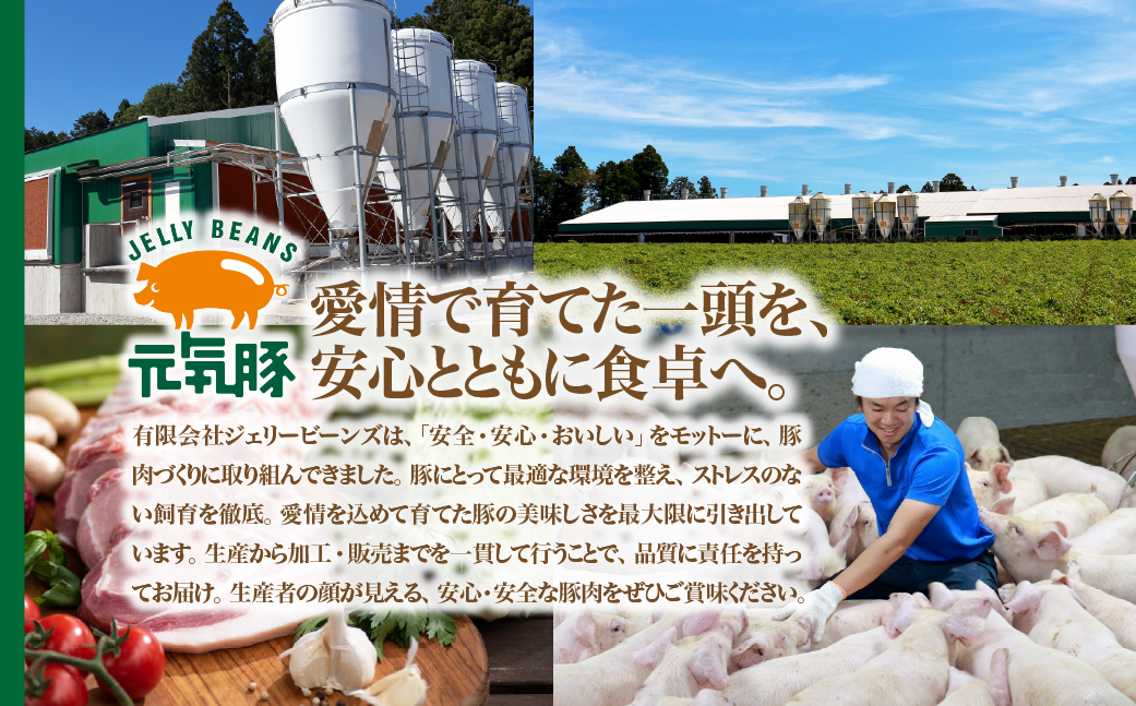【千葉県産三元豚】元気豚 ロース味噌漬2種セット(10枚入り)【配送不可地域：離島・沖縄県】 TAKB012