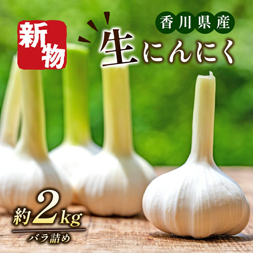 【ふるさと納税】生にんにく（新物）2kg 野菜 根菜 　お届け：2026年5月中旬～6月上旬