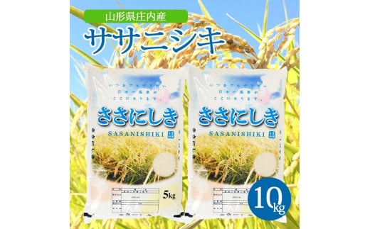 SC0532　令和6年産【精米】ササニシキ　10kg(5kg×2袋) AK