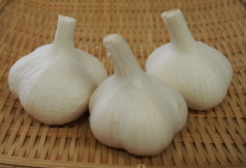 免疫力向上　【小玉】都留市特産　曽雌にんにく