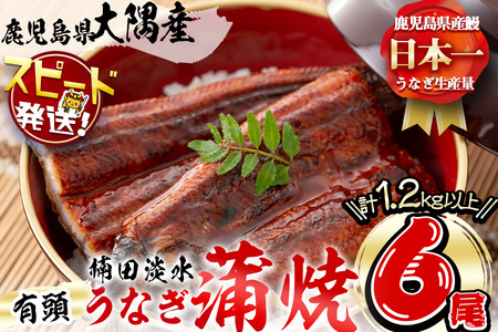 ＜入金確認後、2週間以内に発送！＞楠田の極うなぎ 蒲焼き 190g以上×6尾(計1.1kg以上) うなぎ 鰻 ウナギ 国産 鹿児島県産 九州産 蒲焼き 冷凍 うな重 ひつまぶし e7-018-2w
