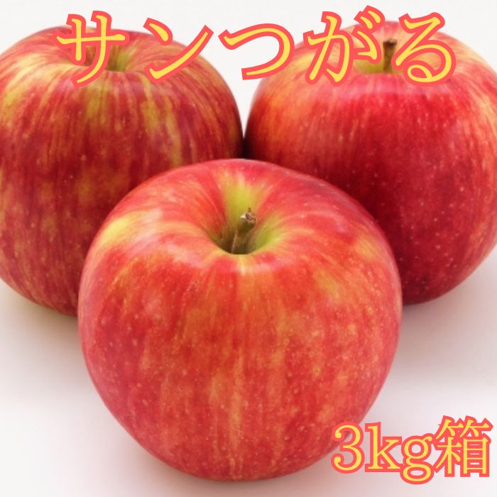サンつがる 3kg箱＜8月下旬より発送＞ 長野県 南信州 高森町 りんご