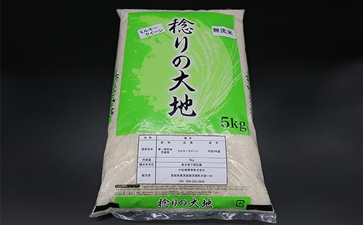 ミルキークイーン 精米 10kg 5kg × 2袋 茨城県産 小松崎商事 440