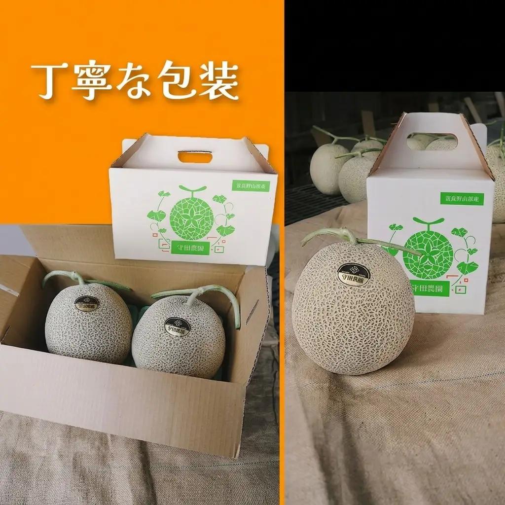 富良野メロン 赤肉 特秀品 糖度15度以上 メロン【1玉2kg】【定期便2回】