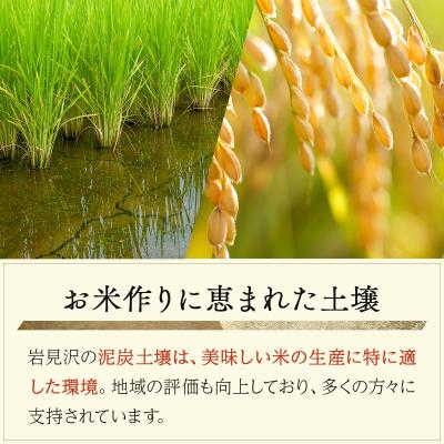 ふるさと納税 岩見沢市 令和7年産 北海道 岩見沢市 おぼろづき 玄米 10kg≪沖縄・離島配送不可≫a124-036-R7 |  | 01