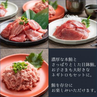 ふるさと納税 静岡市 【静岡】鮪食べ比べセット300g3種:本鮪切落し300g メバチ鮪切落し300g ねぎとろ300g |  | 02