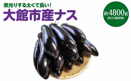 黒光りする太くて長いナス！ 約4800g　80P3204