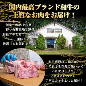 ＜定期便・全3回＞黒毛和牛不揃いステーキ食べ比べ定期便 (合計1.04kg) 黒毛和牛 赤身 訳あり 【KNOT】 T63