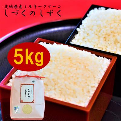 ふるさと納税 かすみがうら市 もっちり甘い! 　茨城県ミルキークイーン　しづくのしずく　5kg