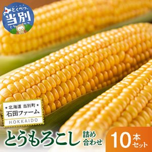 とうもろこし 10本セット 北海道産 トウモロコシ