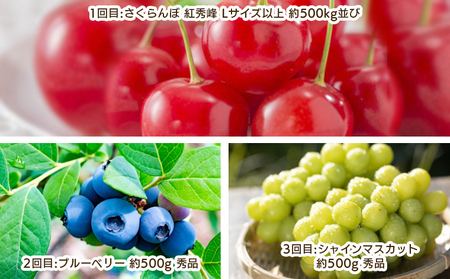 【定期便3回】やまがた 晴天のフルーツ定期便 【令和8年産先行予約】FS25-702 くだもの 果物 フルーツ 山形 山形県 山形市 2026年産