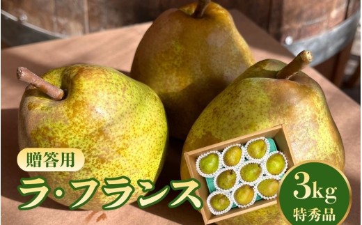 西洋梨（ラ・フランス）３ｋｇ　特秀品　0065-2608