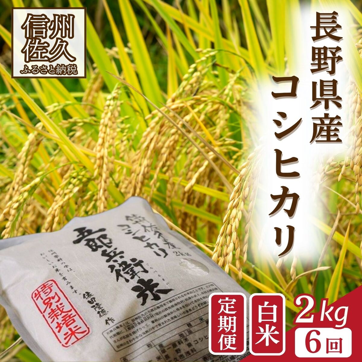 【ふるさと納税】【令和7年産・白米2kg×6カ月定期便】 特別栽培米 五郎兵衛米 〈2025年9月中旬頃～順次発送〉先行予約 新米 信州 こしひかり【 米 コメ 白米 精米 お米 こめ おこめ 備蓄品 コシヒカリ 長野県 佐久市 】