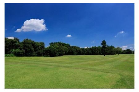 No.164 【坂東ゴルフクラブ】ゴルフ場利用券30000円分(寄付金額の3割相当額分)