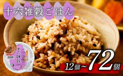 ご飯パック 十六雑穀ごはん 160g 48個 お米 レトルト 食品 無添加 国産 レンジで簡単 温めるだけ ギフト 引っ越し 挨拶 内祝い お歳暮 結婚