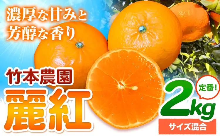 麗紅 約2kg みかん 麗紅