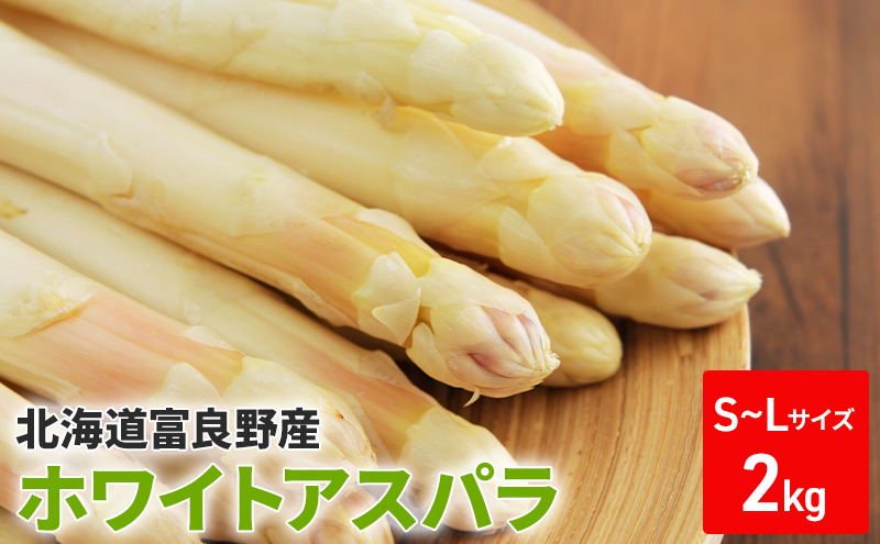【2027年春発送】ホワイトアスパラ サイズ混合 2kg 100本前後 富良野産 野菜 アスパラガス 大容量