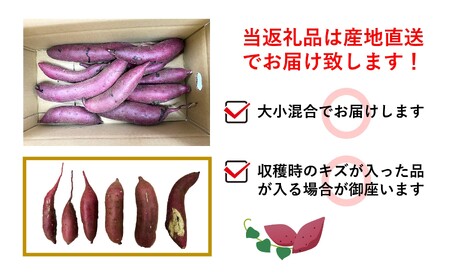 【 先行予約 】さつまいも 約 2kg シルクスイート or 紅はるか | 高評価 多数 ランキング 入賞 甘藷 蜜いも 秋の味覚 品種お任せ 訳あり 家庭用 サイズ不均一 小さめ キズ スレ 家庭用