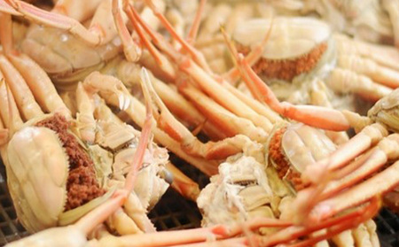 茹で越前ガニ【期間限定】食通もうなる本場の味をぜひ、ご堪能ください。越前ガニ 約800g＋セイコガニ3杯 越前がに 越前かに 越前カニ カニ ボイルガニ 蟹 