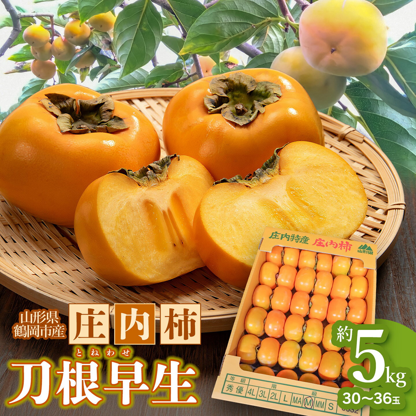【ふるさと納税】【令和8年産先行予約】 庄内柿　刀根早生 5kg（30～36玉）　山形県鶴岡市　わたなべフルーツファクトリー | 柿 かき カキ 5キロ 果物 くだもの フルーツ 産地直送 国産 人気 甘い 美味しい お取り寄せ 秋 旬 味覚 大容量 期間限定 2026年産 返礼品 とねわせ