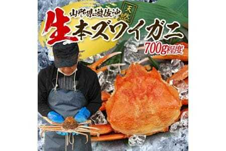 944　遊佐沖　春の生・本ズワイガニ 1匹 700g程度