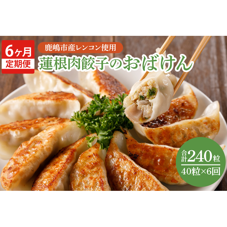 【6ヶ月定期便】蓮根肉餃子のおばけん【40粒×6回】【野菜 ギョーザ れんこん しゃきしゃき おいしい ストック 茨城県 鹿嶋市】（KBU-14）