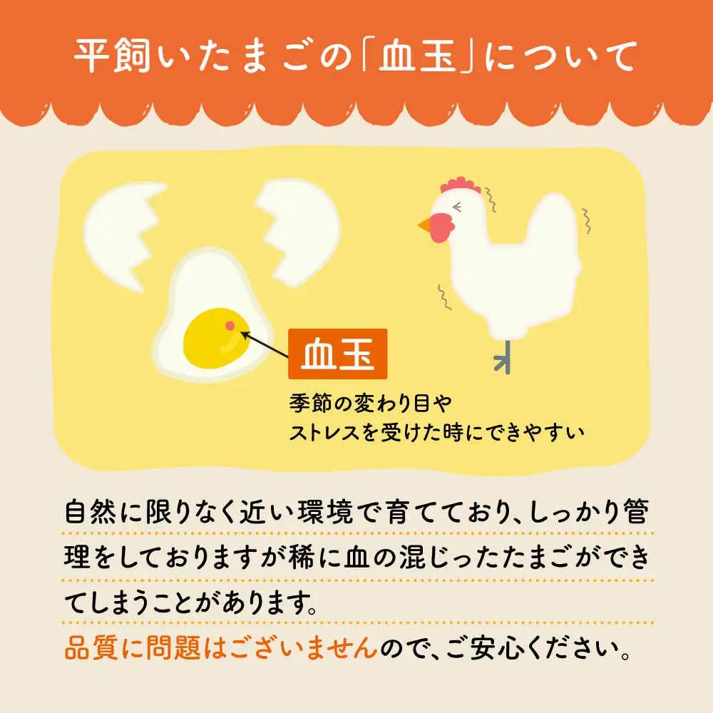 【3回定期便】 平飼い しあわせ たまご  20個 ＜松本養鶏場＞ [CCD027]