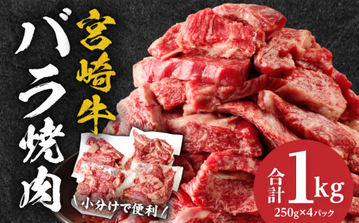 宮崎牛バラ焼肉 合計1kg｜宮崎牛バラ焼肉 250g 4パック 1kg 牛肉 肉 お肉 バラ肉 バラ 牛バラ 宮崎県産 国産 和牛 黒毛和牛 黒毛和種 国産牛 国産黒毛和牛 ブランド牛 焼肉 焼き肉用 焼肉用 BBQ  バーベキュー アウトドア グランピング キャンプ 食品 精肉 畜産 畜産物 炒め物 アレンジ グルメ お取り寄せ 小分け 人気 おすすめ 宮崎県 宮崎市 宮崎｜_M144-020