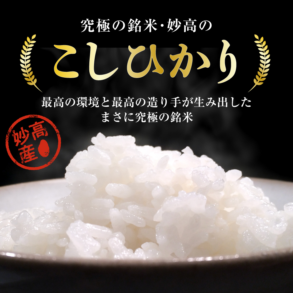令和7年産 新潟県妙高産コシヒカリ10kg【順次発送】