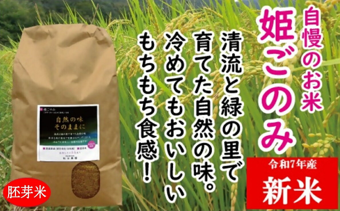【ふるさと納税】ZZ-24　米　おいしいお米　姫ごのみ（胚芽米）10kg