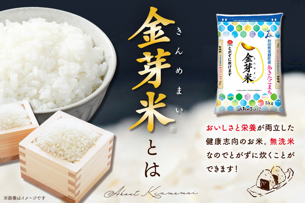 【令和7年産 白米】金芽米 あきたこまち 10kg（5kg×2袋） 玄米の栄養を残した白米 きんめまい