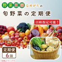 【ふるさと納税】【到着日指定可!!】【6ヶ月定期便】野菜王国なめがたの旬野菜の定期便（米入り）｜CU-137