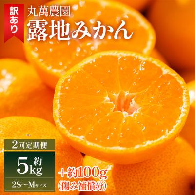 ふるさと納税 香南市 【2回定期便】露地みかん(2S〜Mサイズ) 5kg 家庭用 丸萬農園 Wmn-0017