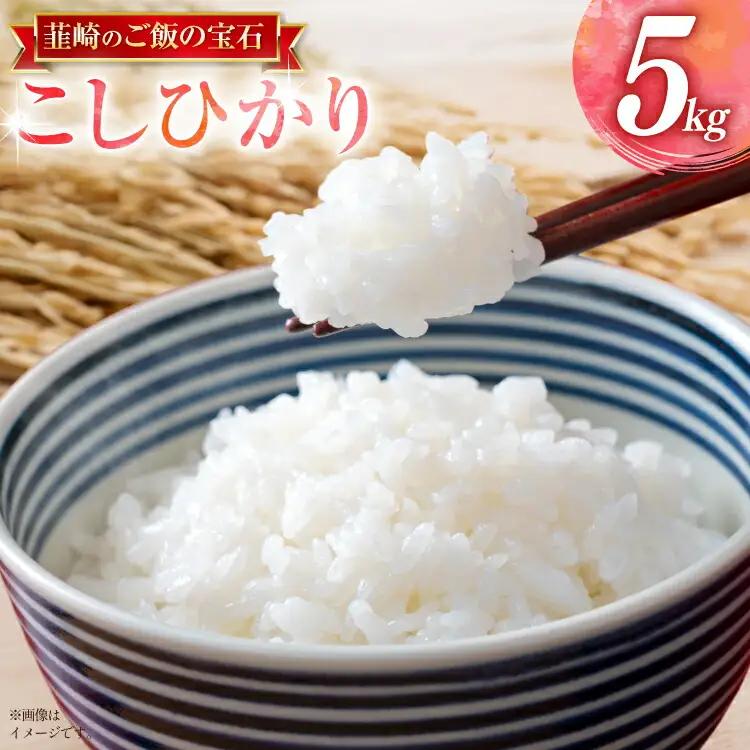 令和8年産 コシヒカリ 5kg 白米