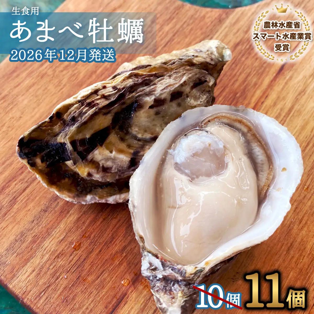 先行予約 あまべ牡蠣 11個 牡蠣 シングルシード 生食用 殻付き かき カキ オイスター 生ガキ 生牡蠣 生がき 生かき ギフト 貝 旨味 【2026年12月以降にお届け】