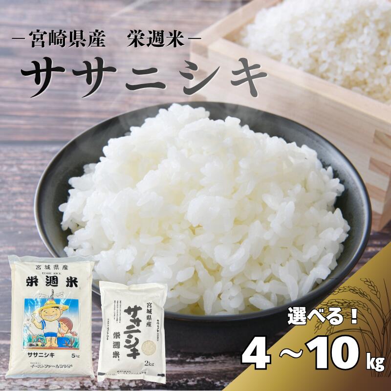 【ふるさと納税】栄週米 ササニシキ（精米）＜選べる 4kg ／ 5kg／10kg ＞　/ 米 お米 ささにしき 精米 新米