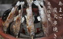 【ふるさと納税】あまご炭火串焼き　6尾　天然塩使用